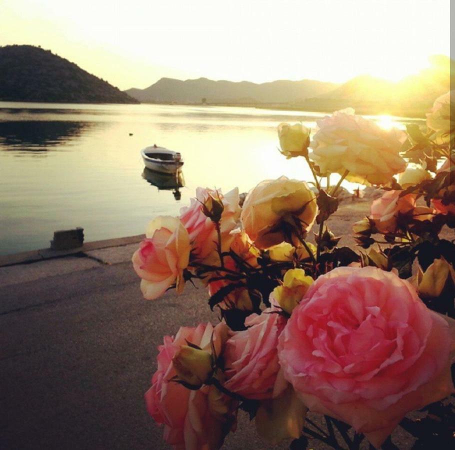 Sunset *
